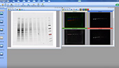 download image lab software biorad free for mac
